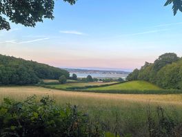 View from woods on walk to station/dawlish warren