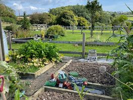 Veg patch