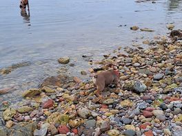 Babbacoome beach
