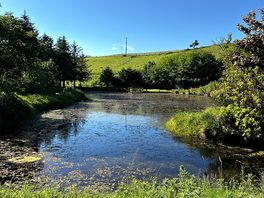 Le plan d’eau