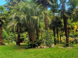 Visite du parc d un chateau