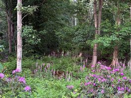 Lovely woodland walks nearby.