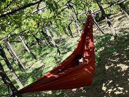 We stayed under the vineyard👌