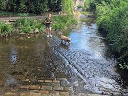 Paddle in the river