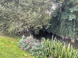 Banks of the river cam