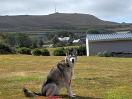 My dog enjoying the scenery