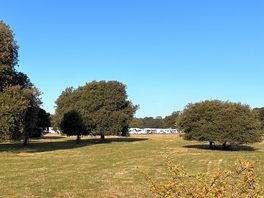 Deer park is beautiful for walking.