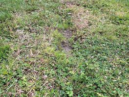 Pitches uneven and deeply rutted