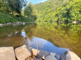 Scenery