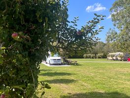 Spacious pitch amongst the apple trees