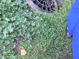 Uncovered drain