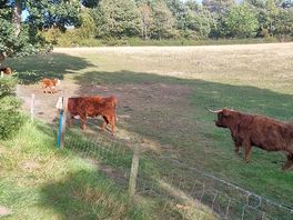 Close to the farm.