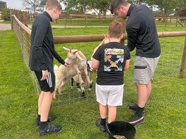 Animal feeding