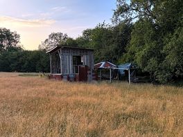Site view