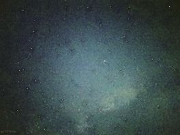 Stars on a clear night
