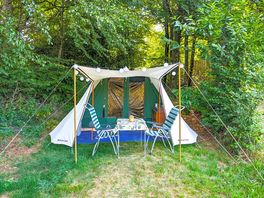 Ready tent among the trees