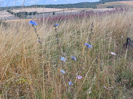 Stunning walks nearby.