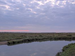 The salt marshes