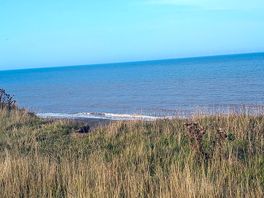 View from edge