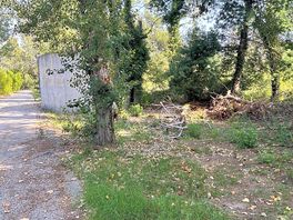 Camping à l’état sauvage