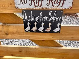 Ducks were all round - happy place!