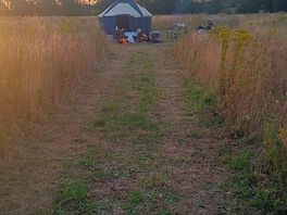 Yurt in distance