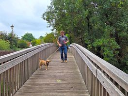 Bridge!