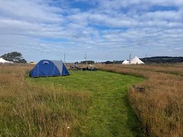 Our plot