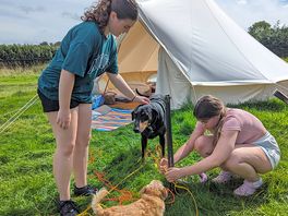 Space for the dogs to have long leads