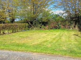 Grass pitches