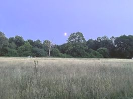 Great clear sky/star gazing.