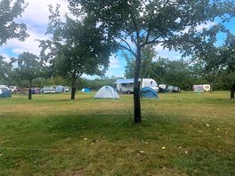 Happy campers!