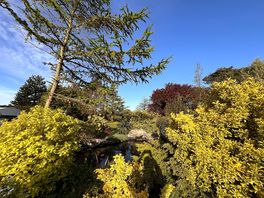 Garden views