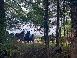 Along the bridleway