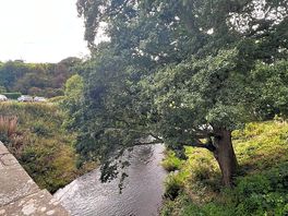 View from the bridge
