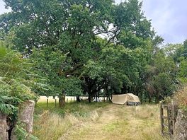 Campsite