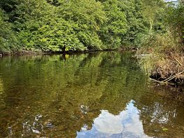 Nearby river