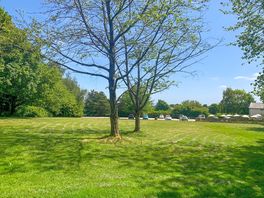 Pitch up in the paddock