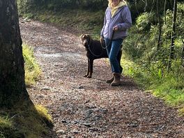 Trail