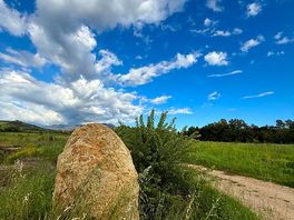 Rock