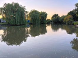 Evening sun over fishing lake