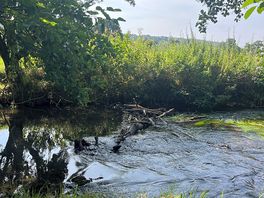 My favourite spot - the river bench