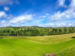 Panoramic view of the site