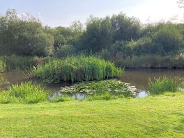 Campervan right by pond