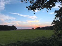 A lovely sunset.