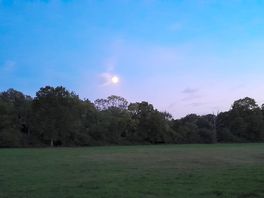 Evening