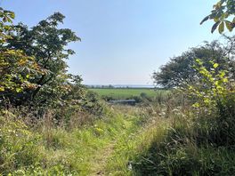 Campsite view
