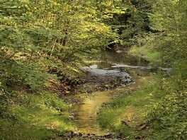 Veel bosrijke wandelgebieden, hier bvb de sentier de songes