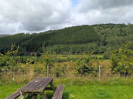 View from pitch