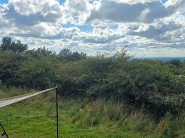 One of several camp site areas